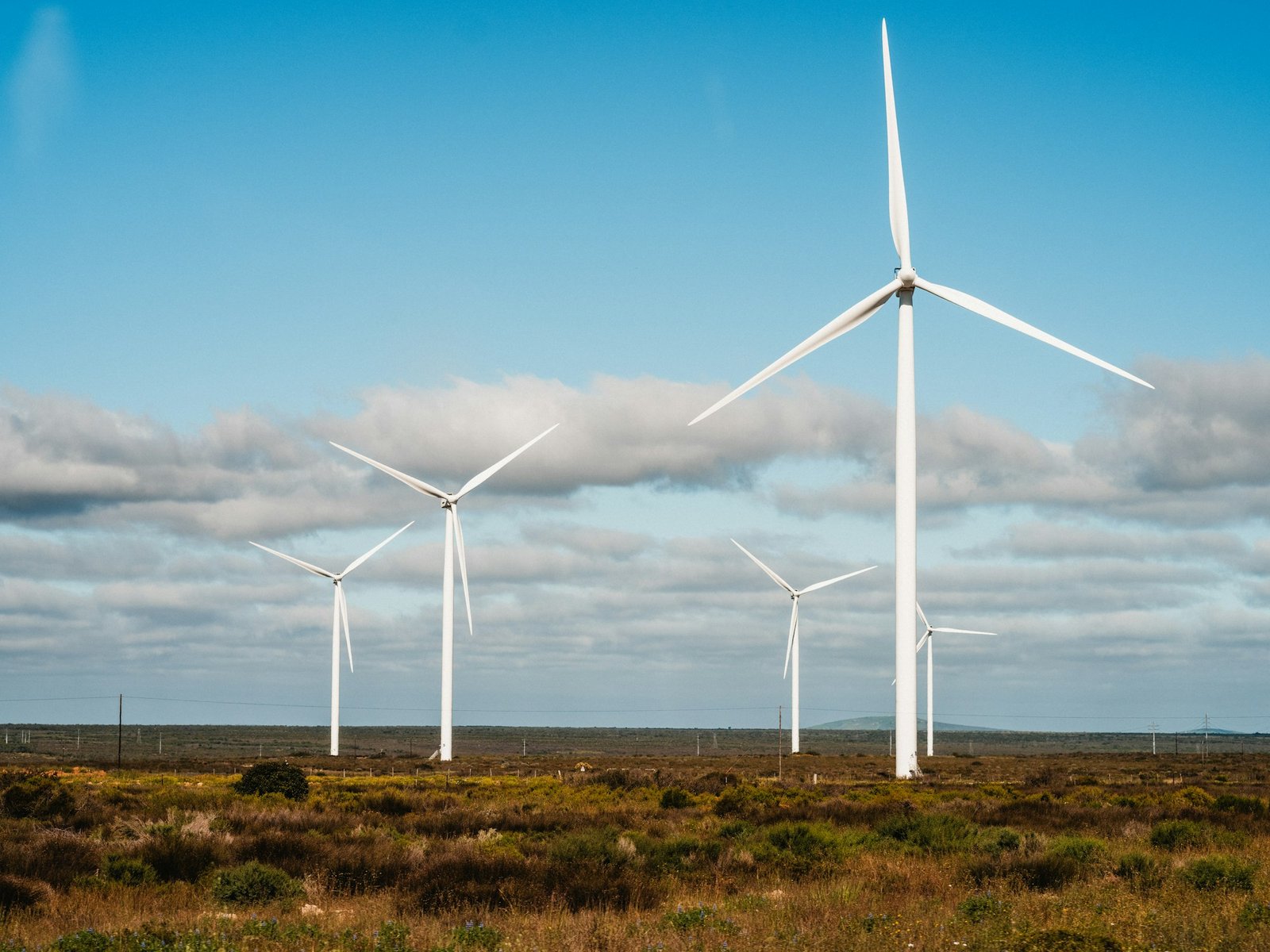 Wind farm near Cape Town, South Africa